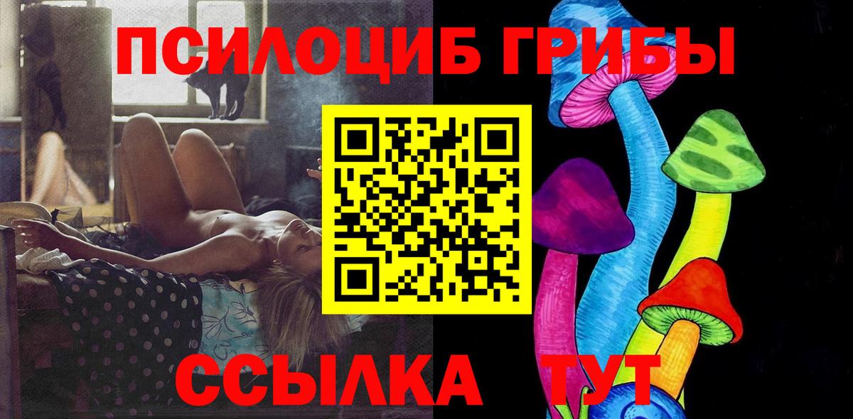 Нарткала  Галлюциногенные грибы Psilocybe  Вход с VPN 