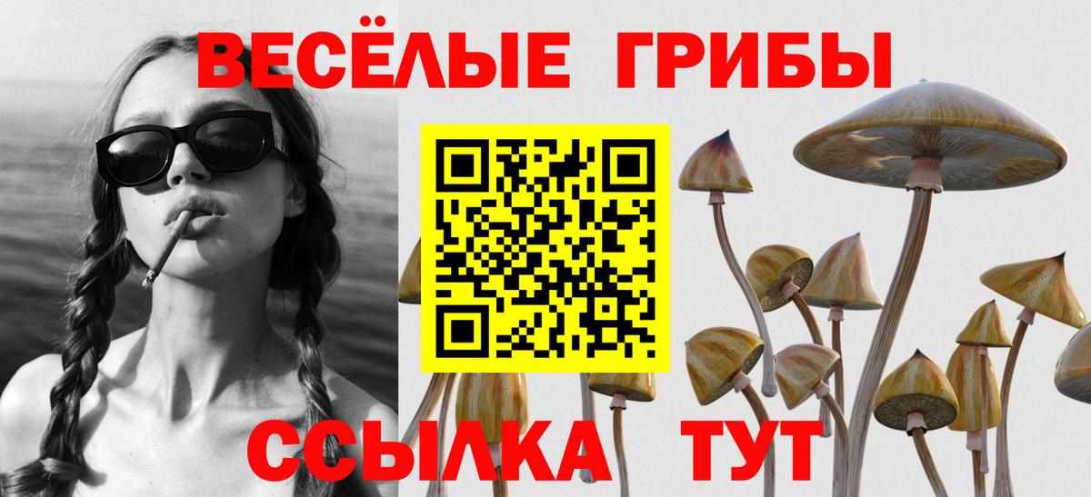 Галлюциногенные грибы прущие грибы Нарткала